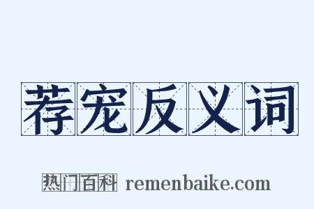 荐宠反义词是什么意思的图片